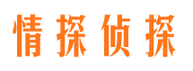 陆丰市侦探公司